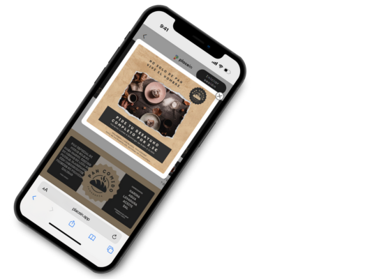 banner_placein_pay_1